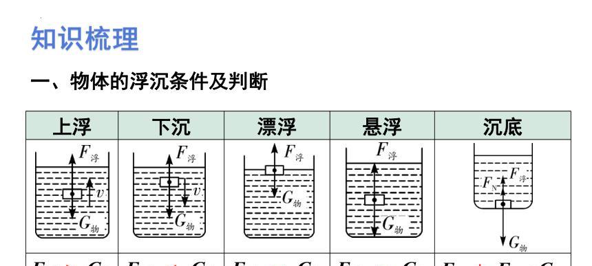 乒乓球的沉浮（一项中国传统运动的崛起与传播）