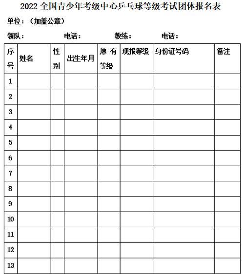 乒乓球等级考试标准的重要性与实施（打造专业、公正、严谨的乒乓球评级体系）