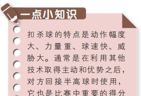 乒乓球技巧教学全攻略（打造完美发乒乓球技术，成为球场巨人）