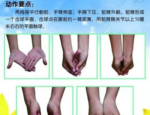 掌握排球击球和发球的技巧（提升击球和发球能力，成为排球高手）
