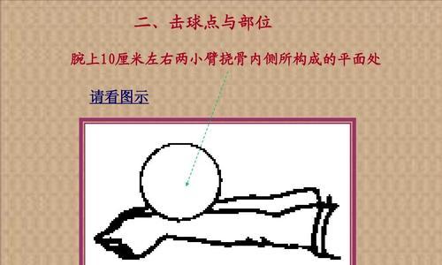 掌握打排球垫球的技巧要领（提升垫球水平，成为排球场上的技术高手）