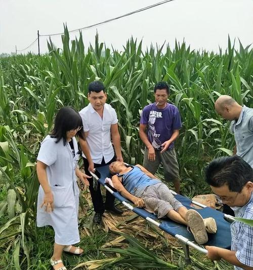 美女游泳换气技巧大揭秘（轻松掌握，提升游泳水平！）