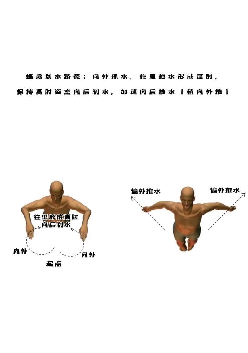 游泳技巧大揭秘（掌握游泳技巧，成为游泳高手）