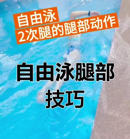 如何提升自由游泳腿球技巧（掌握正确姿势和节奏，提高游泳效率）