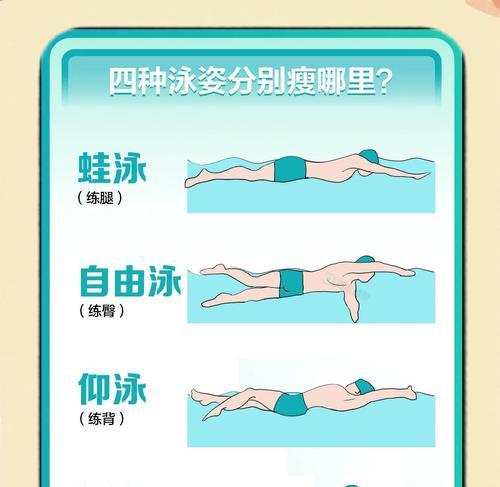 游泳技巧大全（学会游泳的基本技巧，快速掌握水中自由的艺术）