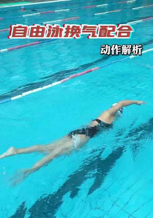 游泳技巧的分类及动作解析（掌握不同类别的游泳技巧，提升游泳水平）