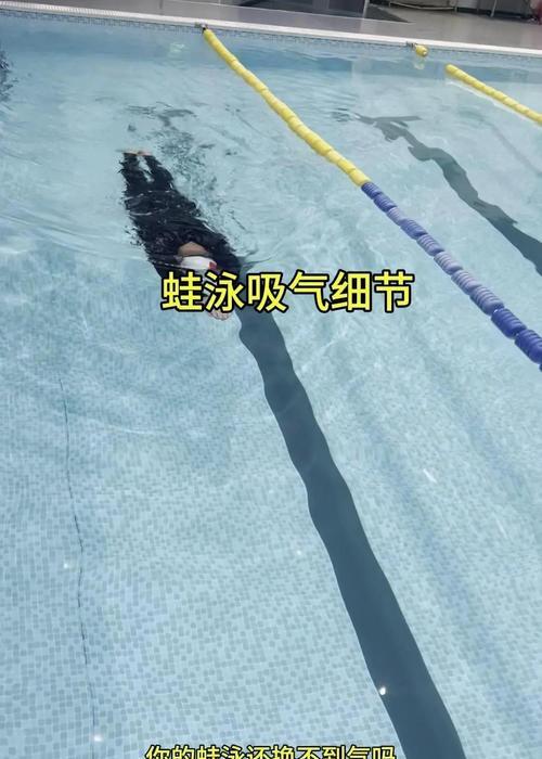 游泳新手如何选择适合入水的装备（掌握游泳装备的技巧，享受游泳的乐趣）