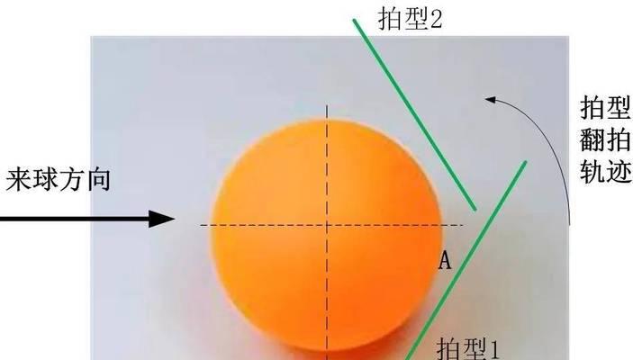 探秘乒乓球的形状奇妙（传奇变幻，形状多样，令人惊叹！）