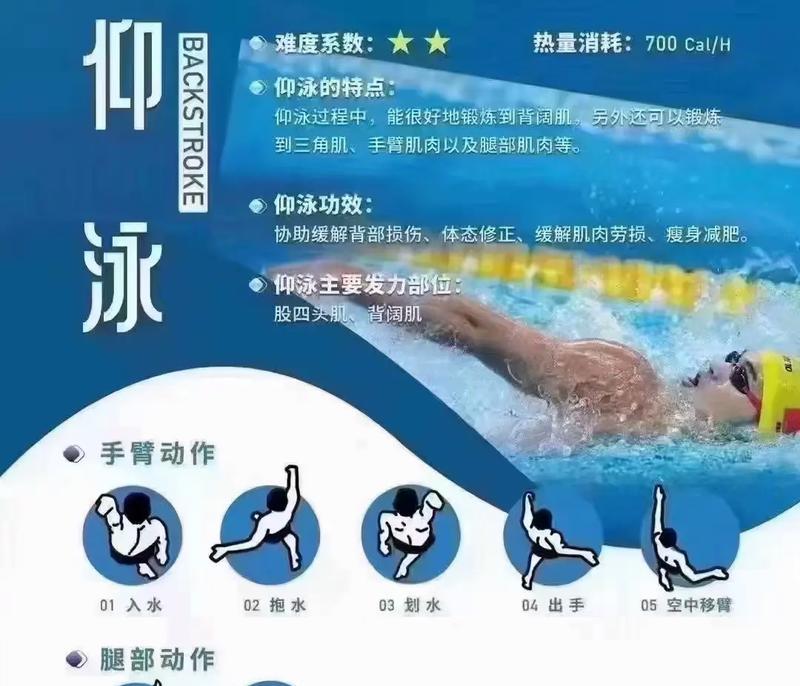 从零基础学游泳技巧的全面指南（掌握水中的艺术，摆脱对游泳的恐惧）